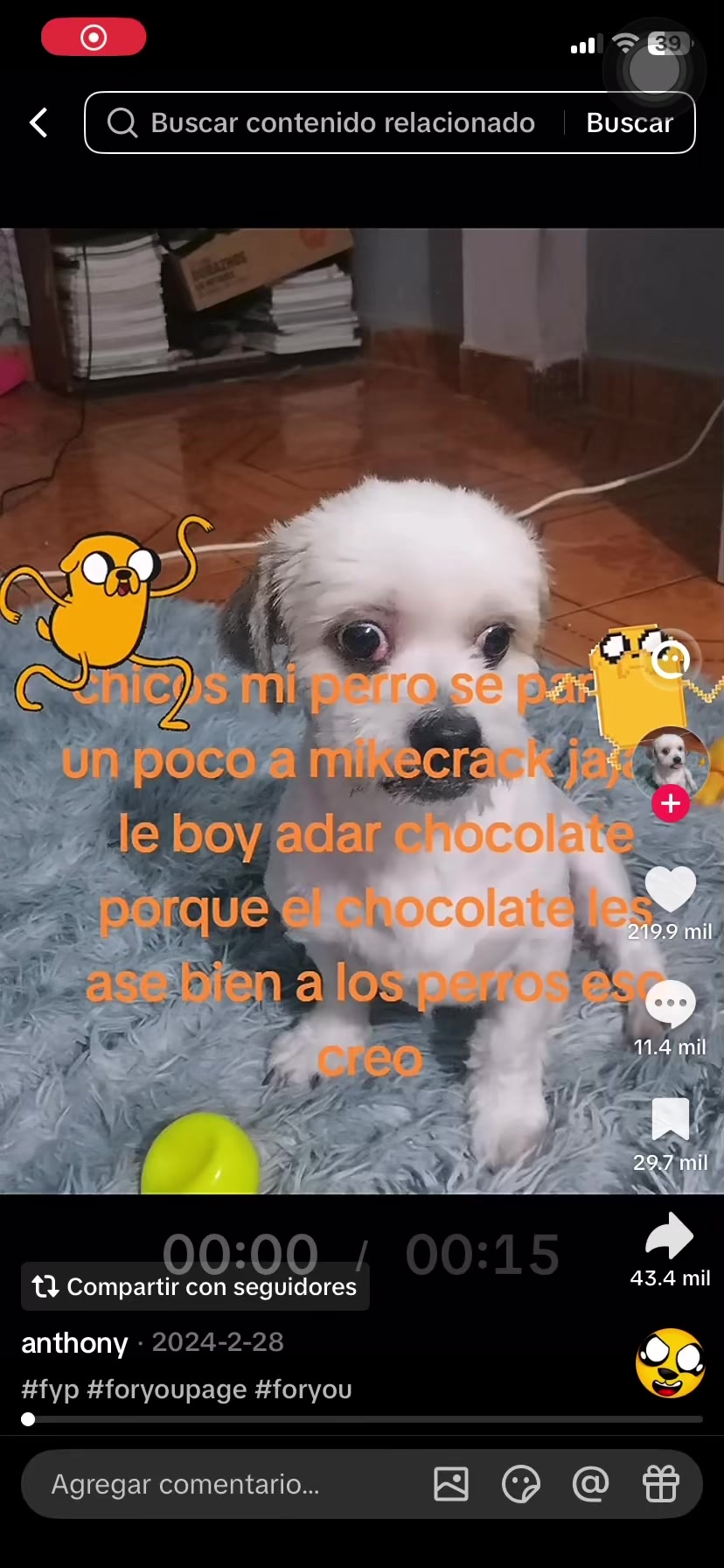 @Caracal fino