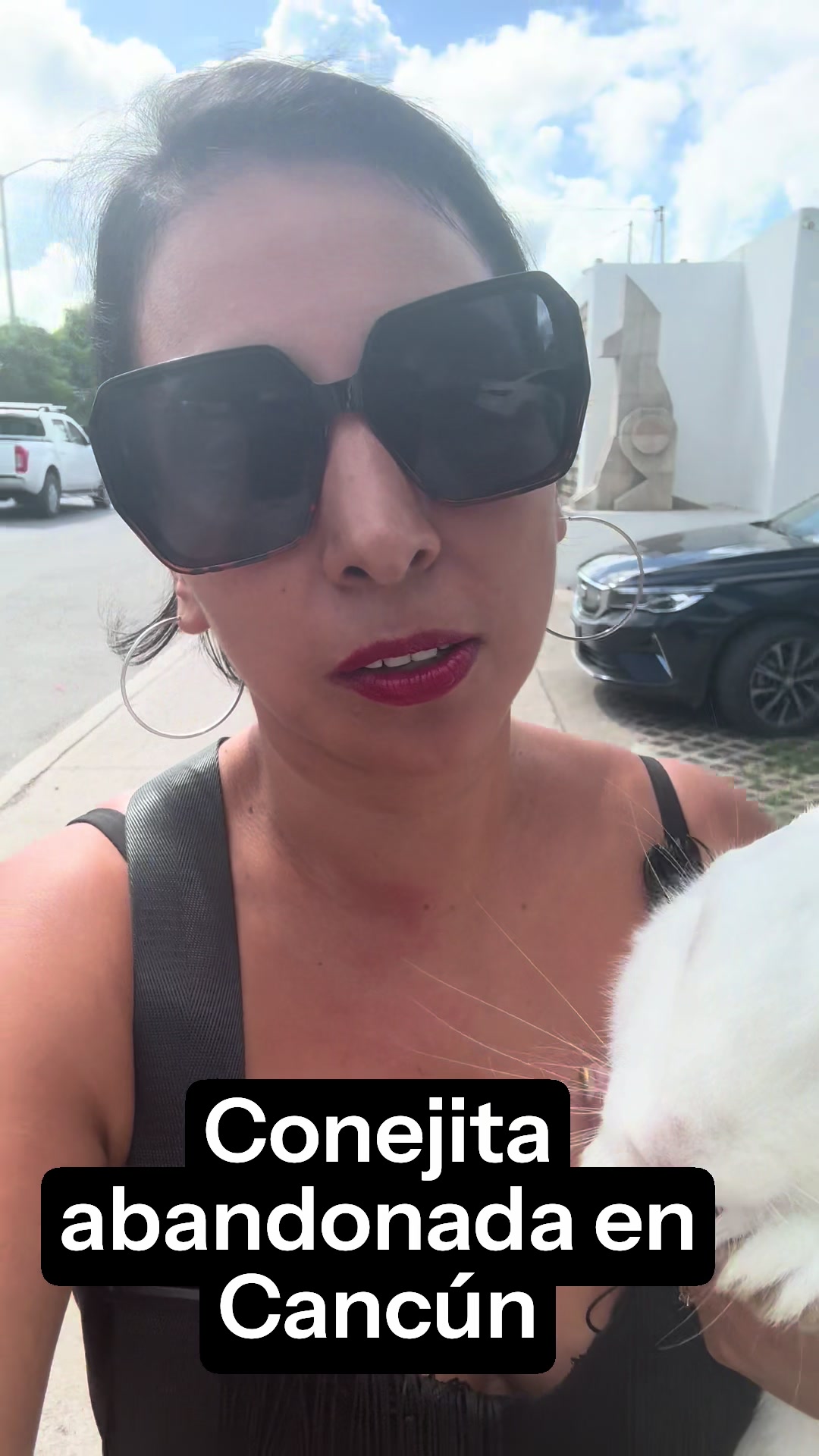 @Mi sueño caribeño