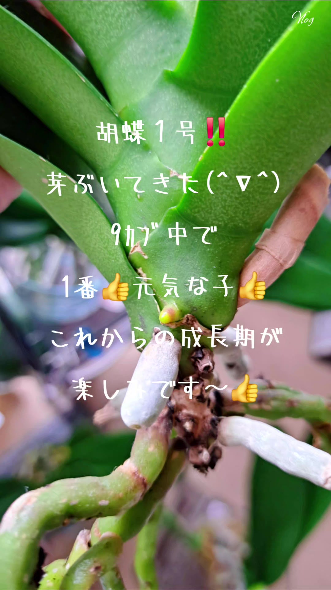 @🌊🌊波🌊🌊
