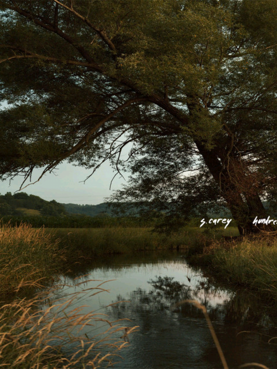 @.dદၶn♪📼ツ✿