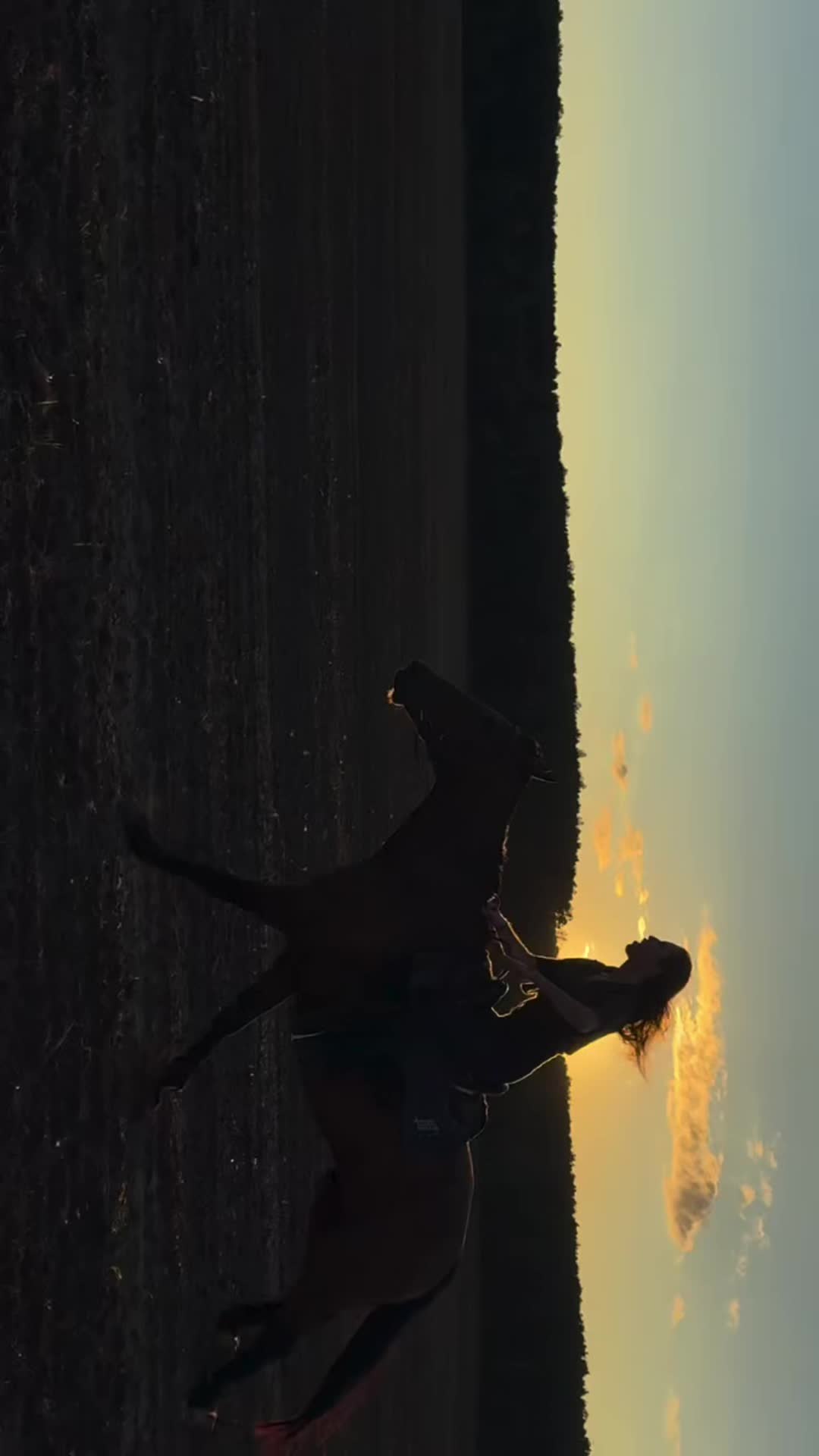@standingbearmexica
