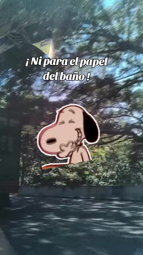 @🦴🦴 B O N E 🦴🦴