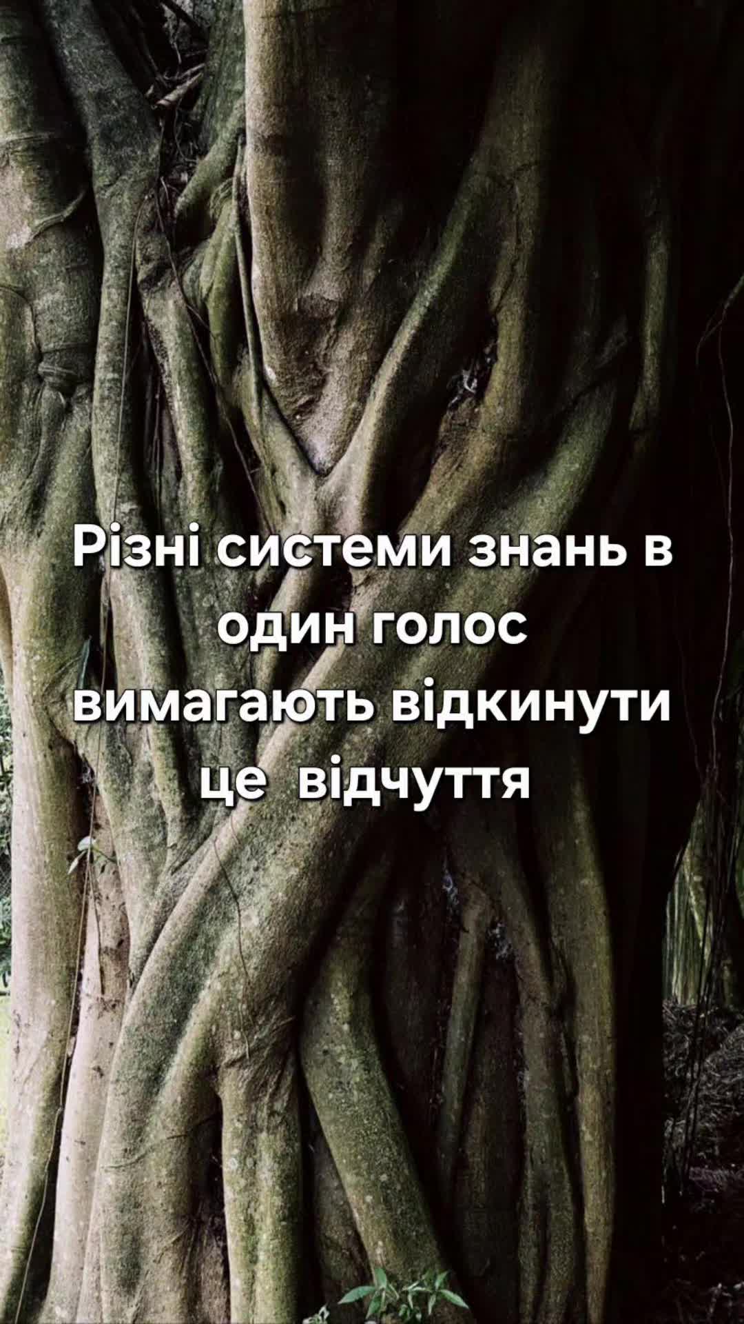 @sonma.life