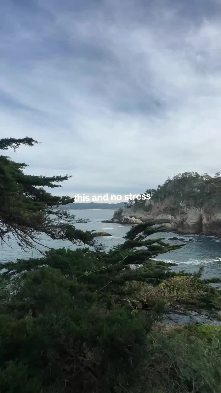 @jacksz