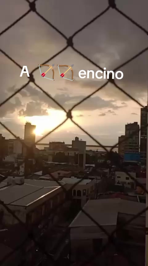 @erikacosta8127