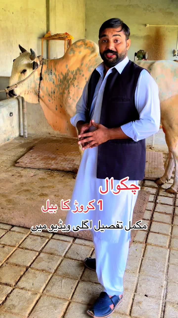 @💕Chaudhary Punjab da💕