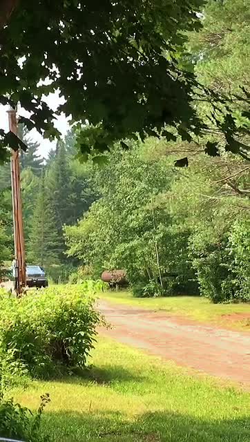 @NaturesBeauty77