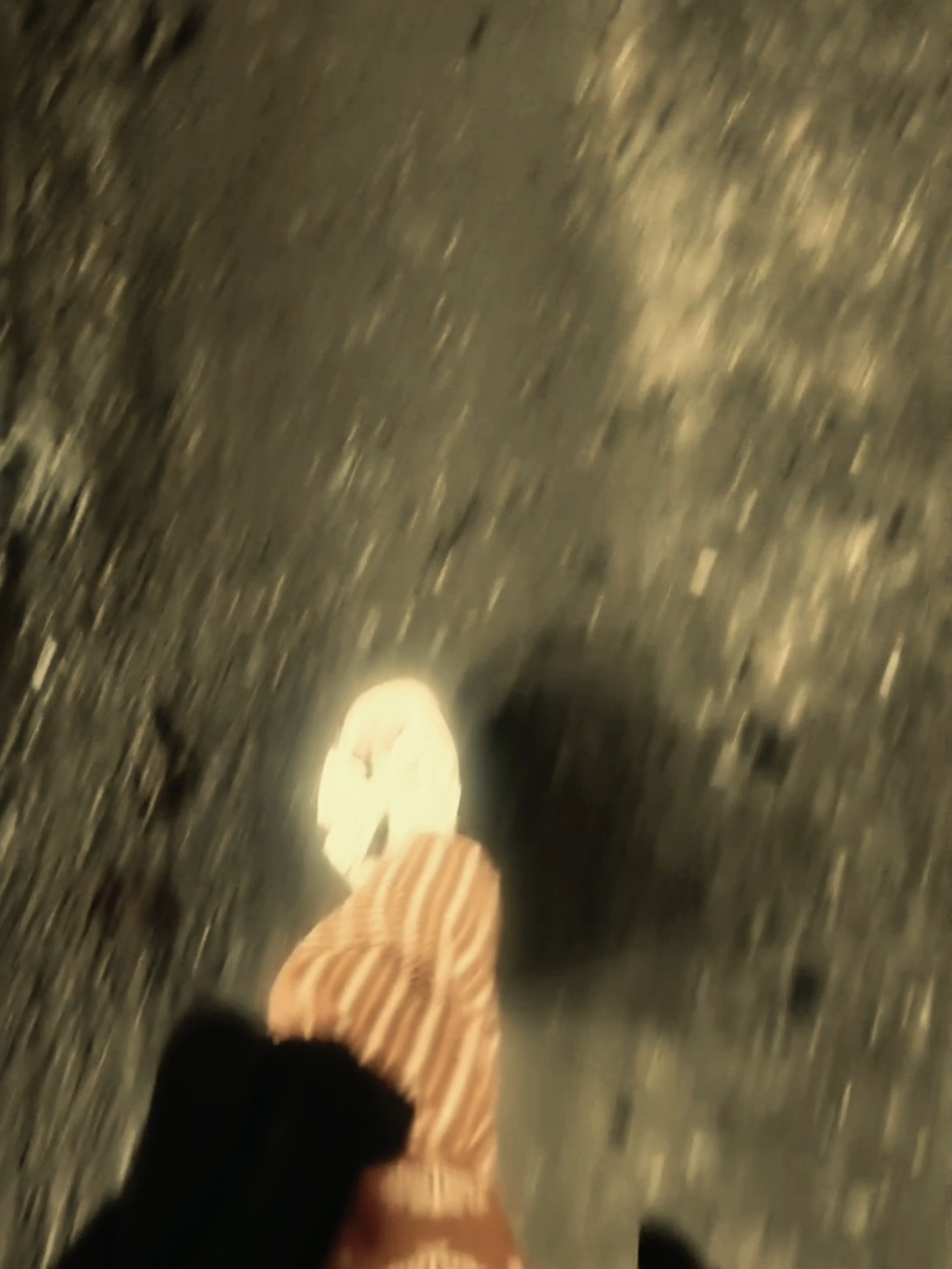 @⭒๋𐙚_𝓡𝓪𝓲𝓼𝓪_🌷🦢🕸️