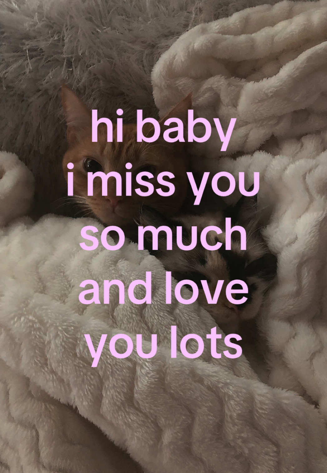 @caughtafeeling