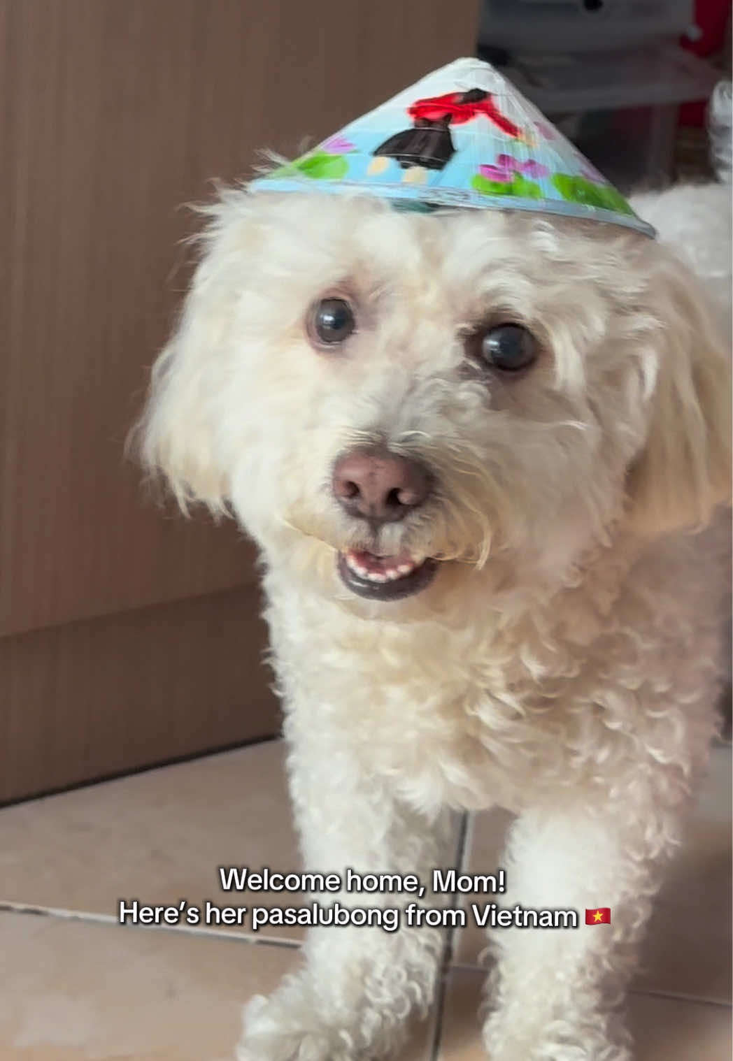 @Coco the poodle