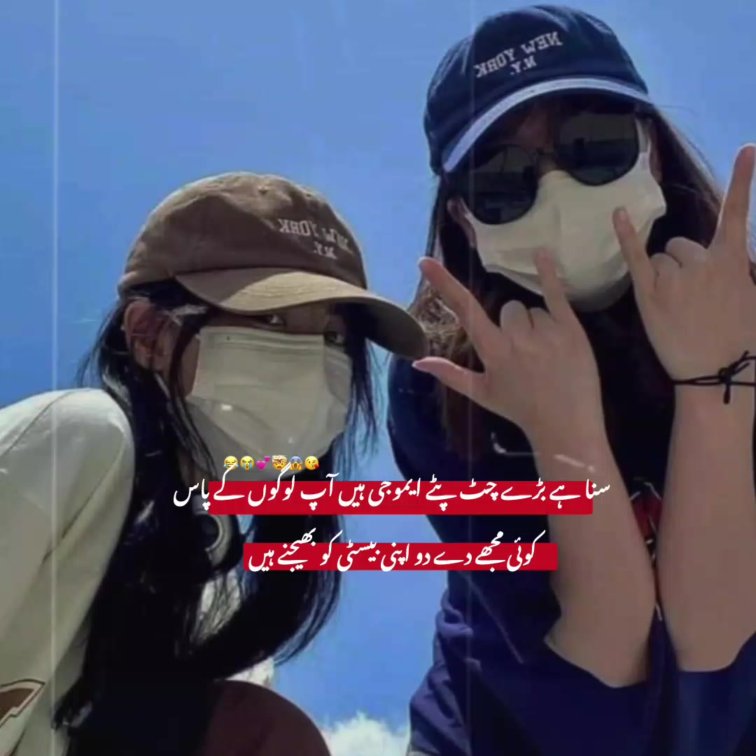 @˚₊🐻𝐌𝐢𝐧𝐮𓂃𓈒˚💗⋆