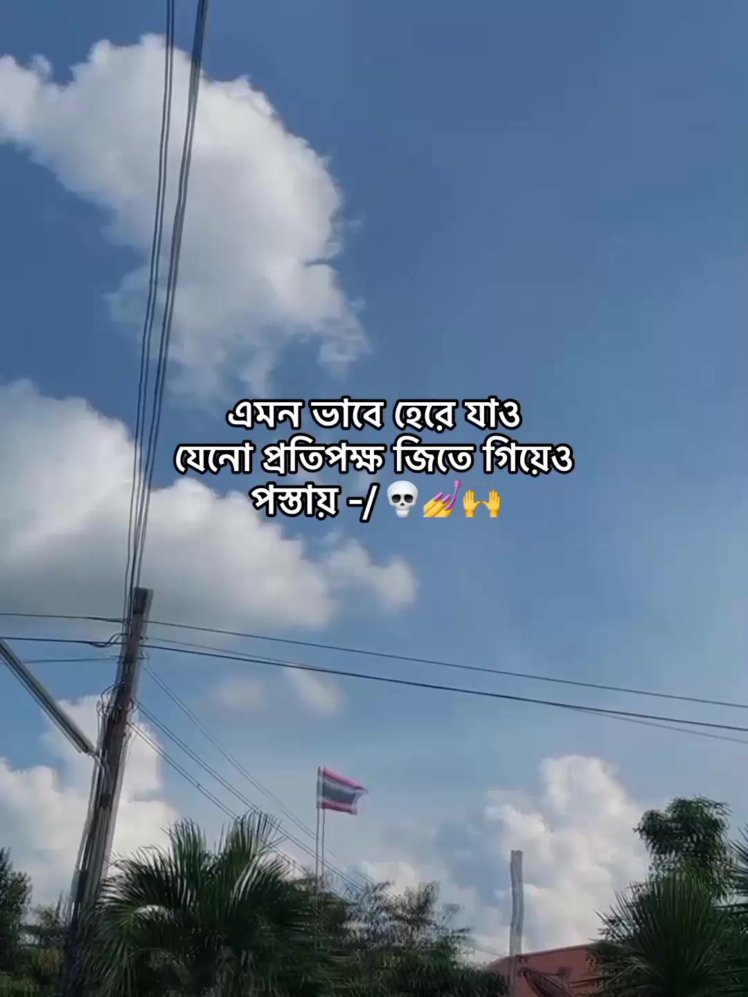 @⁷𝐇𝐚𝐦𝐢𝐝𝐚◡🧃