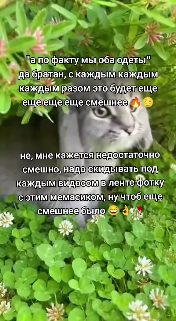 @волк с сво стрит