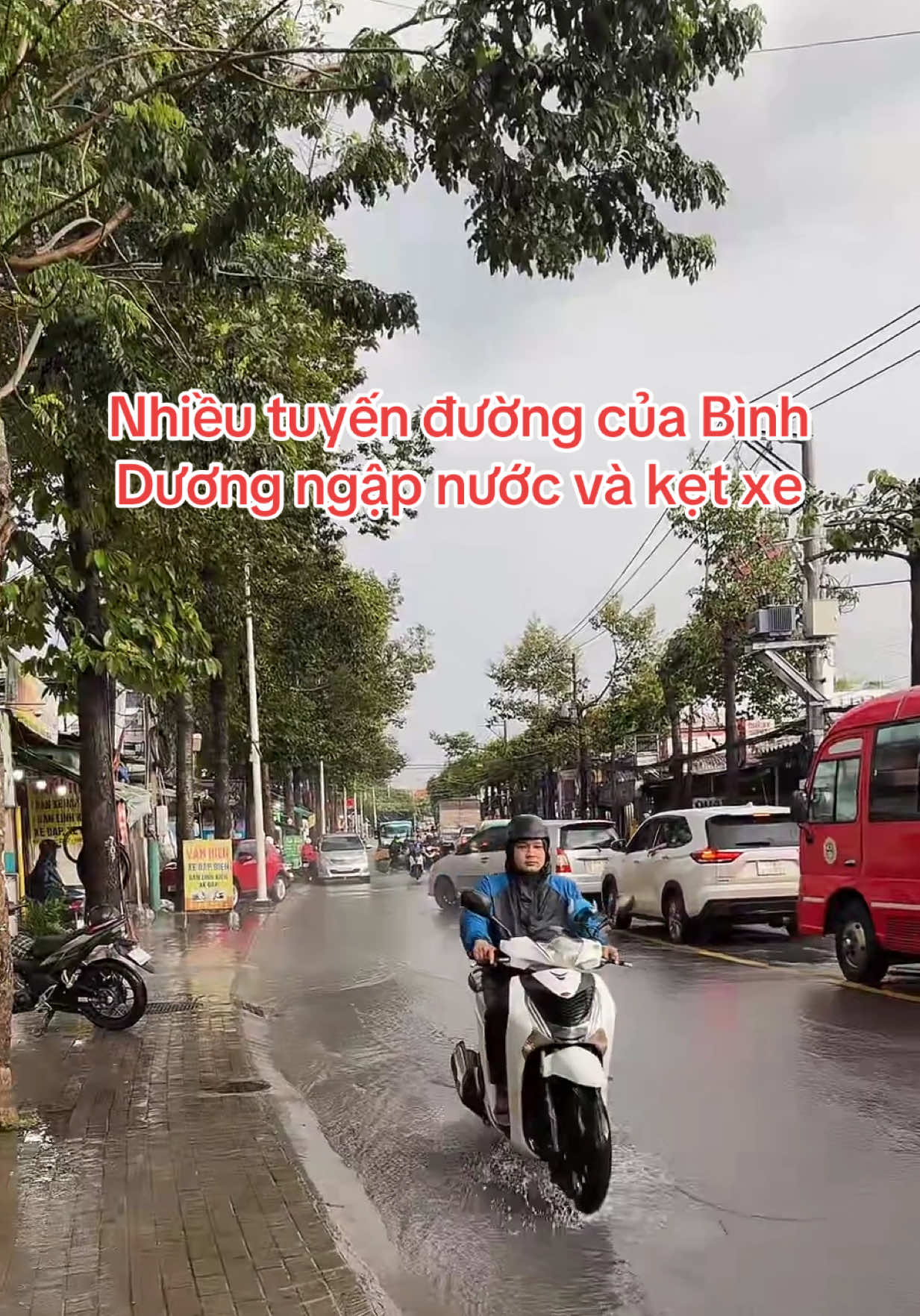 @RÌ VIU BÌNH DƯƠNG