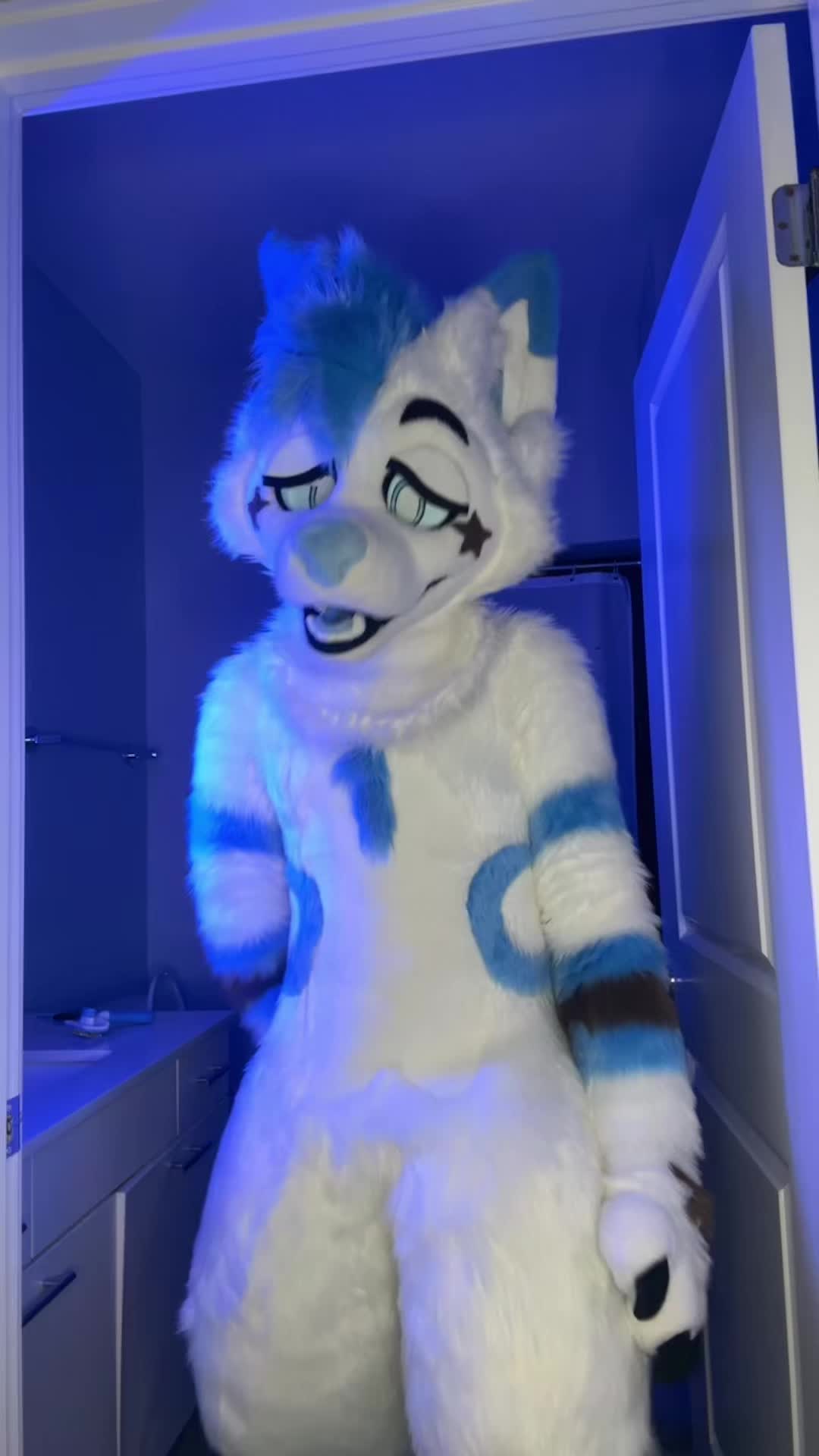 @BlueFoxNova