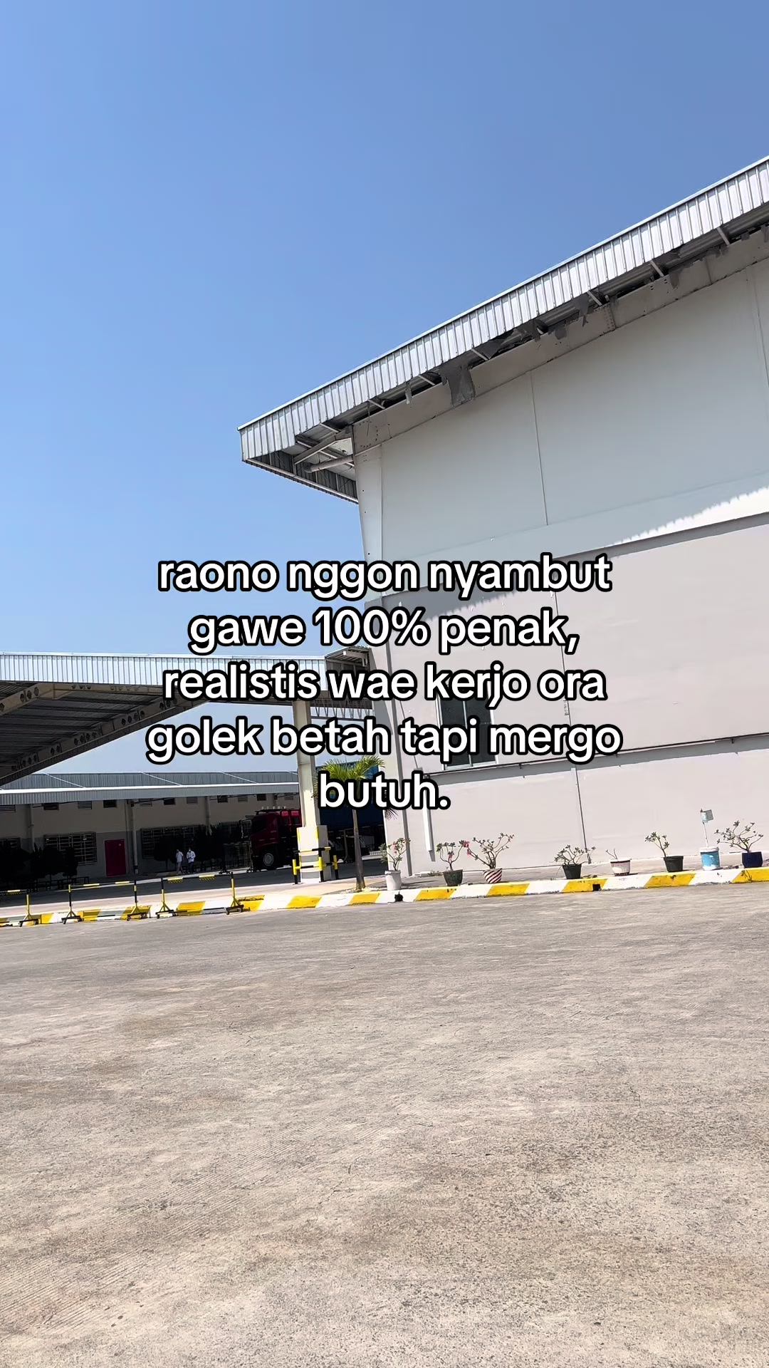 @lllnɐ ɹoɟ ɐ