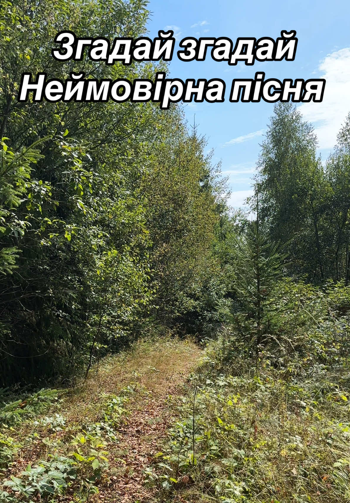 @Карпатський гуцул Любомир 2