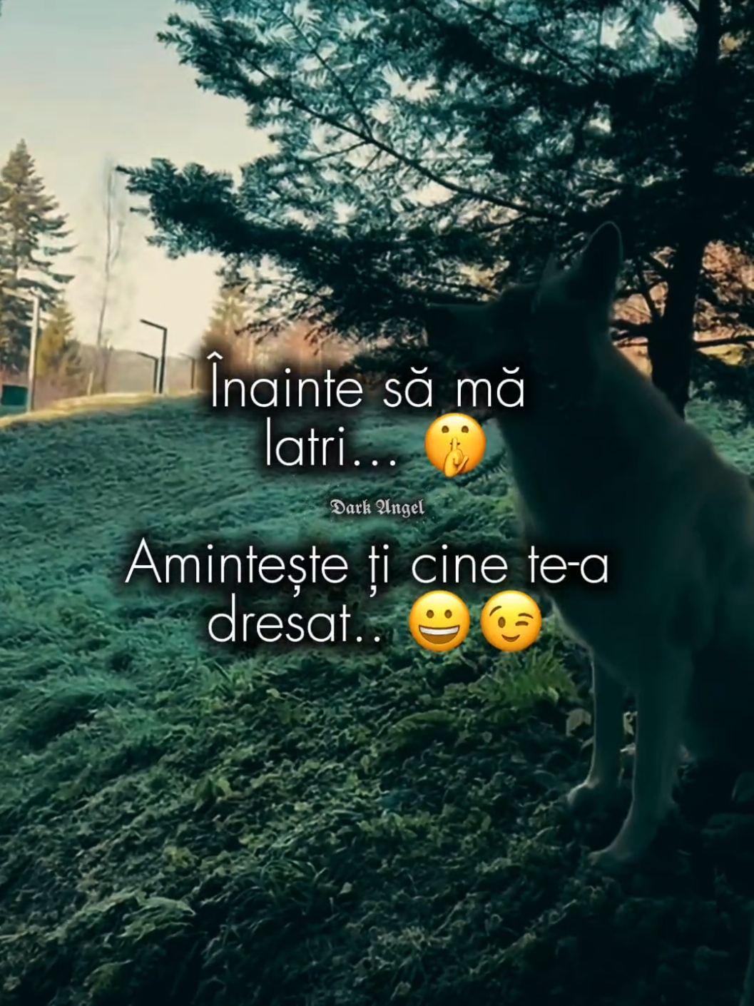 @๐ฏ๐๐๐ ๐ฌ๐๐๐๐