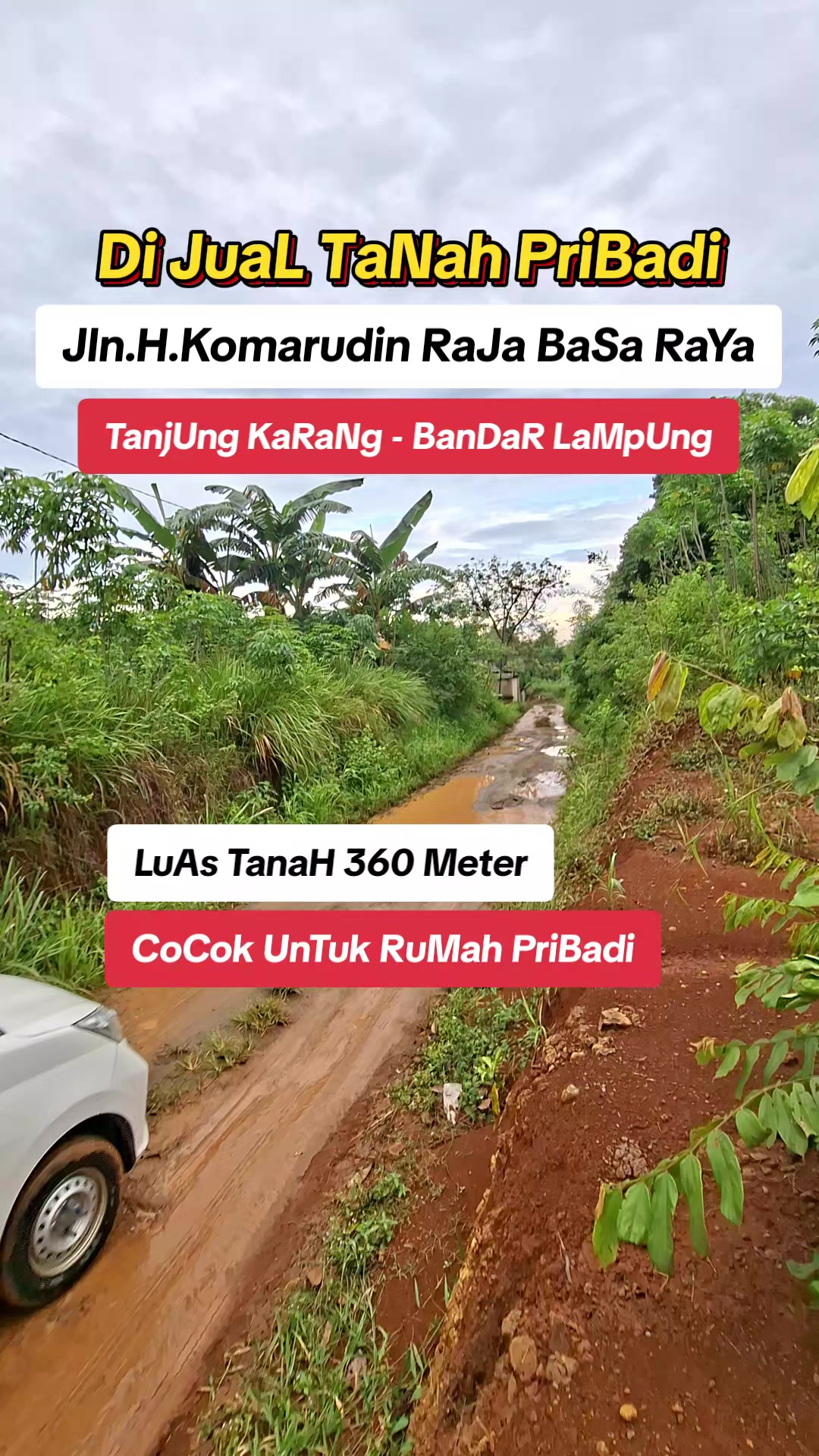 @Tanah pribadi Lampung