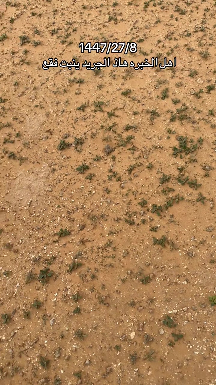 @نواف بن فرحان