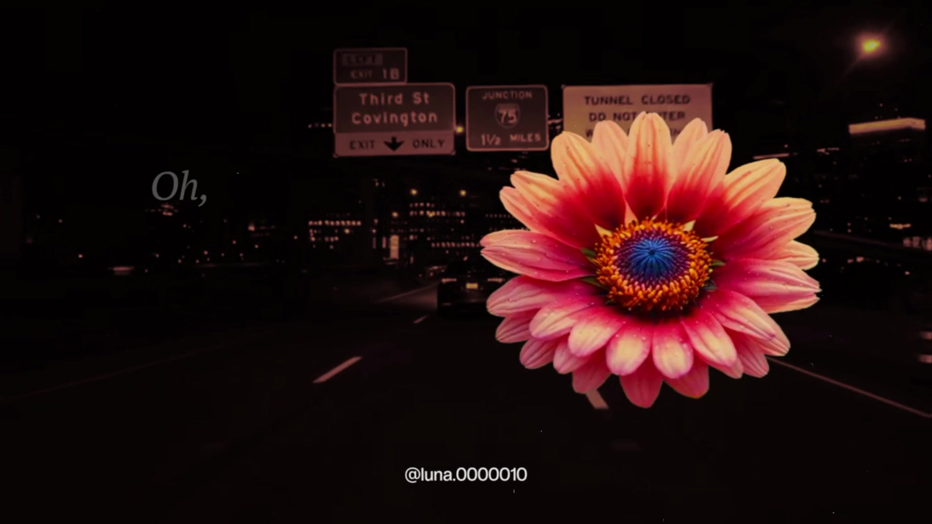 @L U N A ☾ ⋆