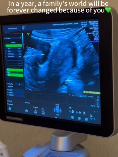 @ACRC Surrogacy & Egg Donation