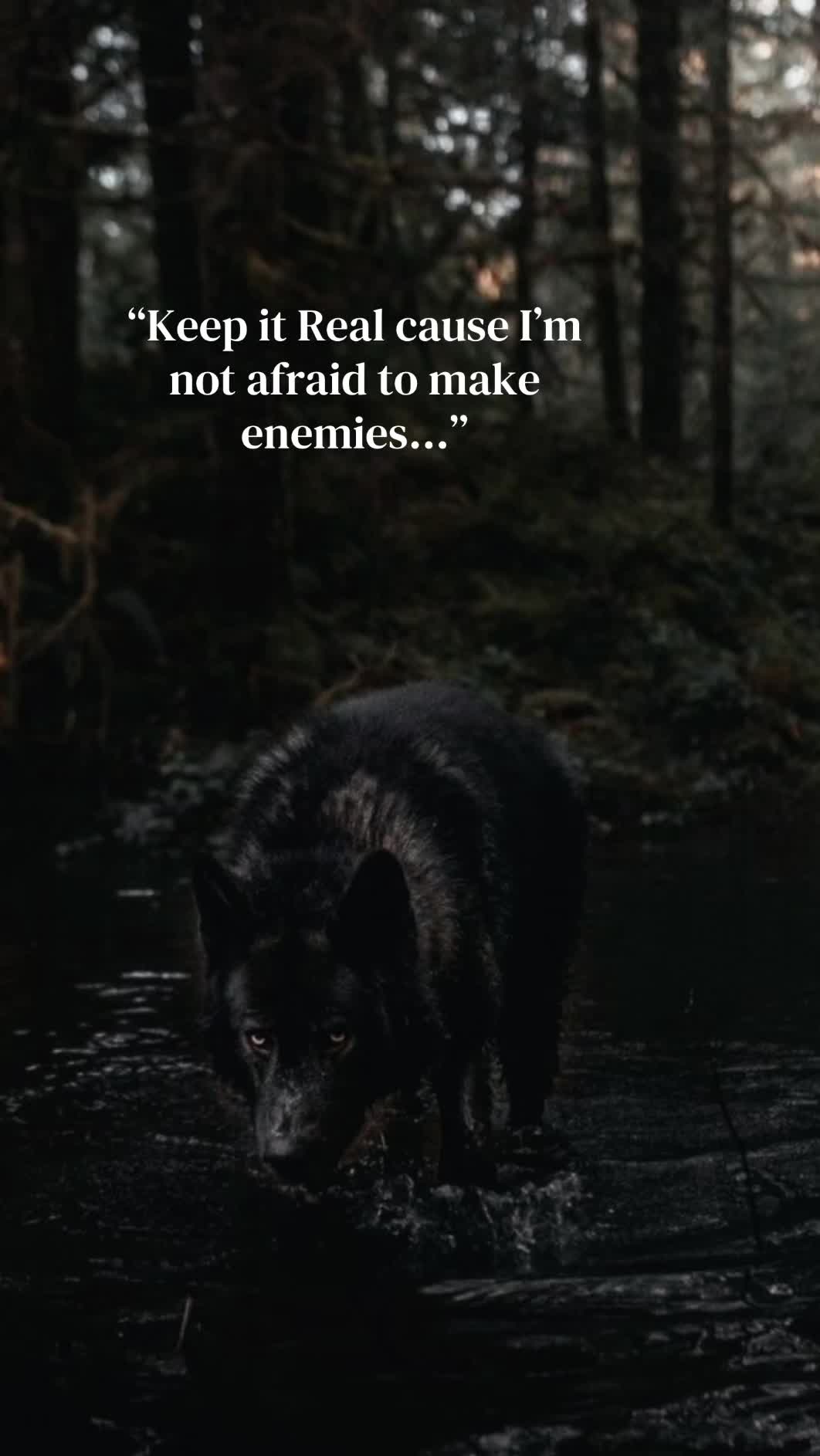 @🪬Conscious_LoneWolf🐺