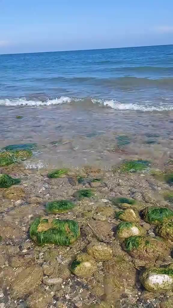 @Eda Gül🇹🇷