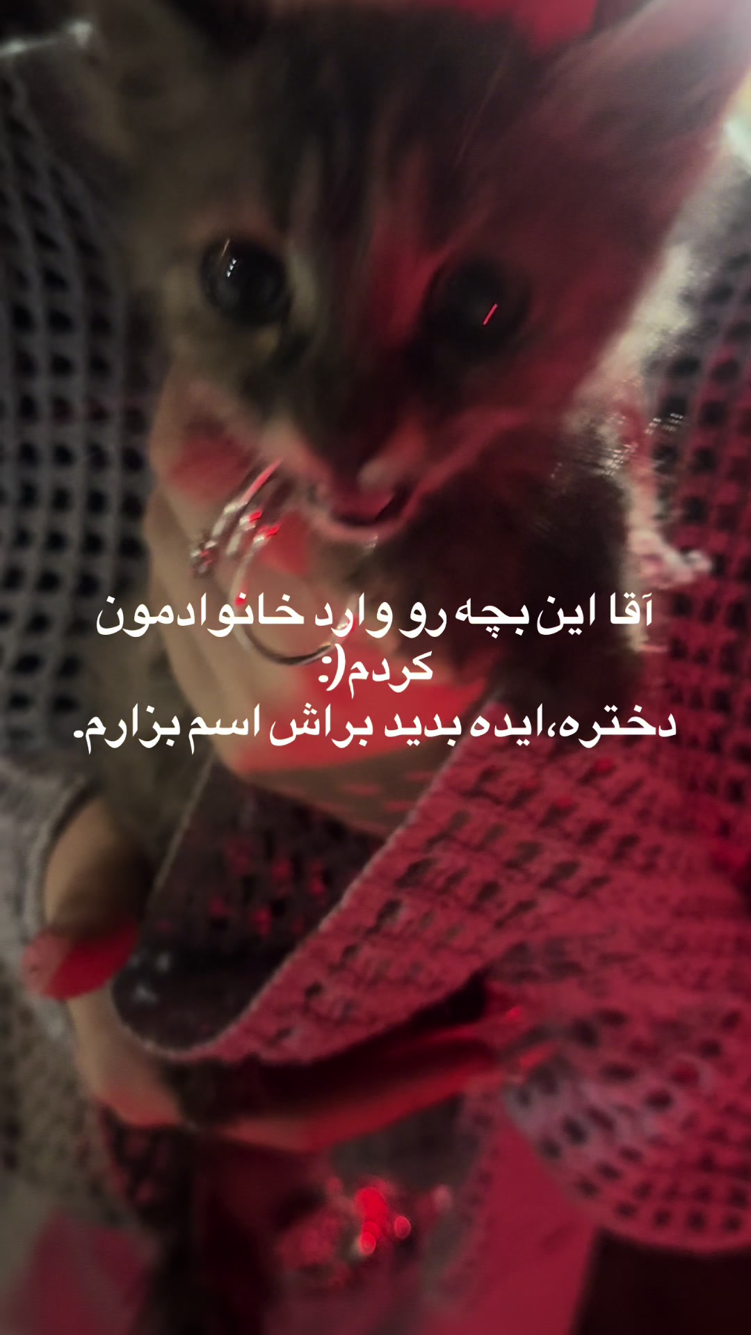 @Sari