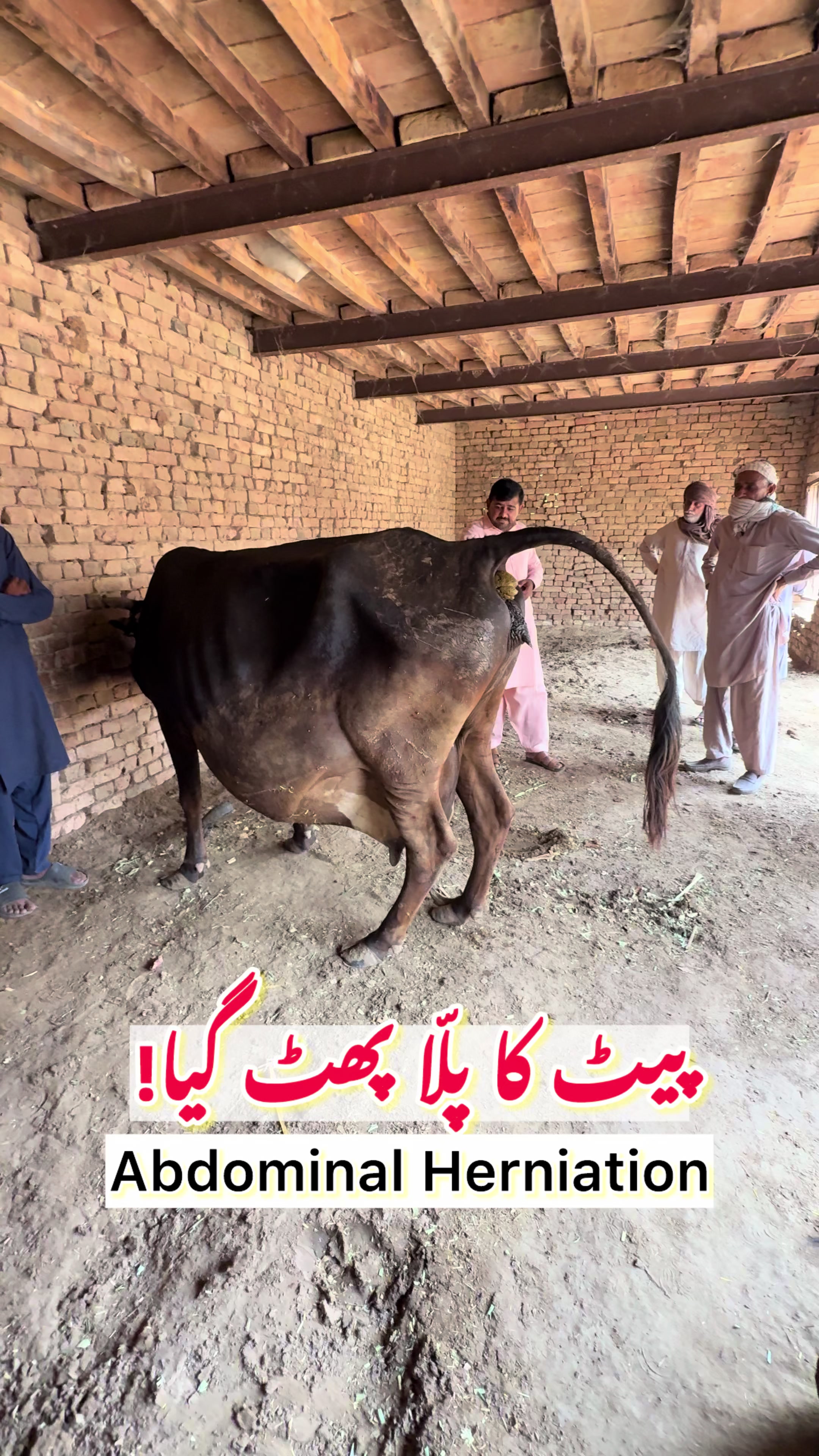 @Dr.Mohsin