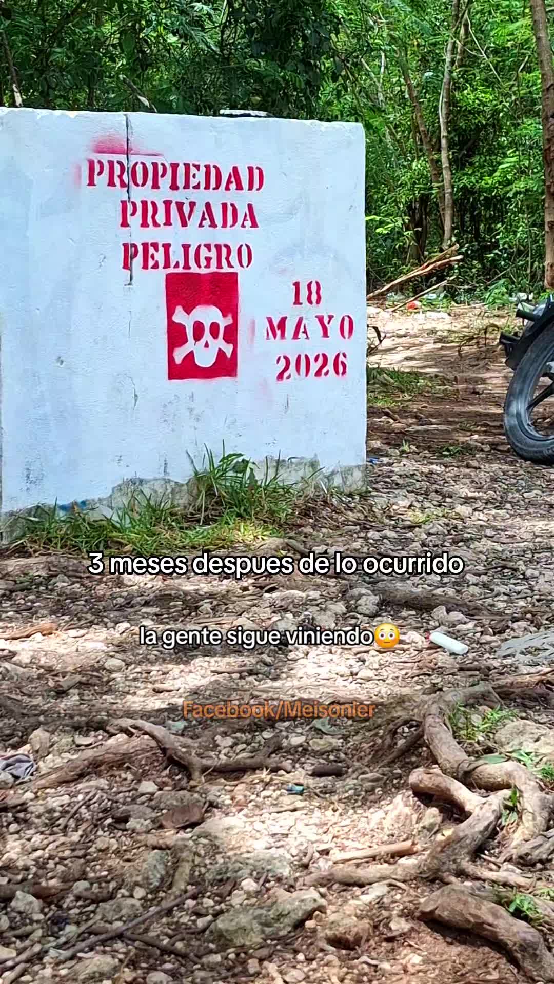 @Meisonier oficial