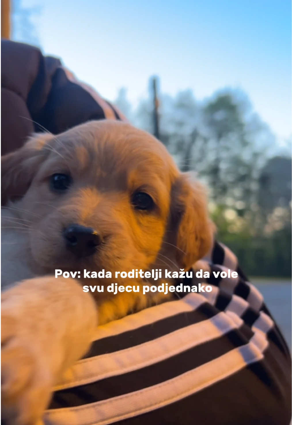 @andrija.kojovicc