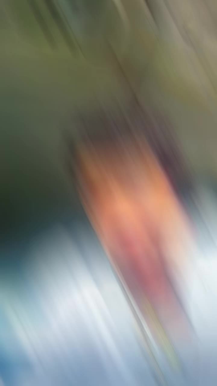 @MrHansome