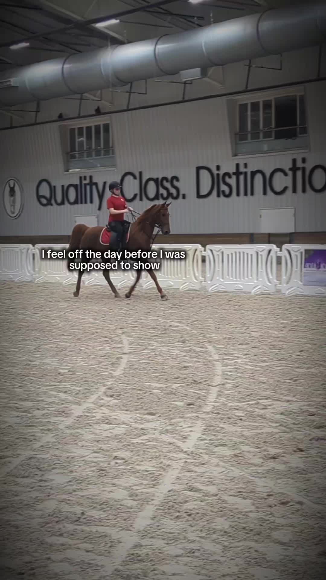 @saddleseat_4life