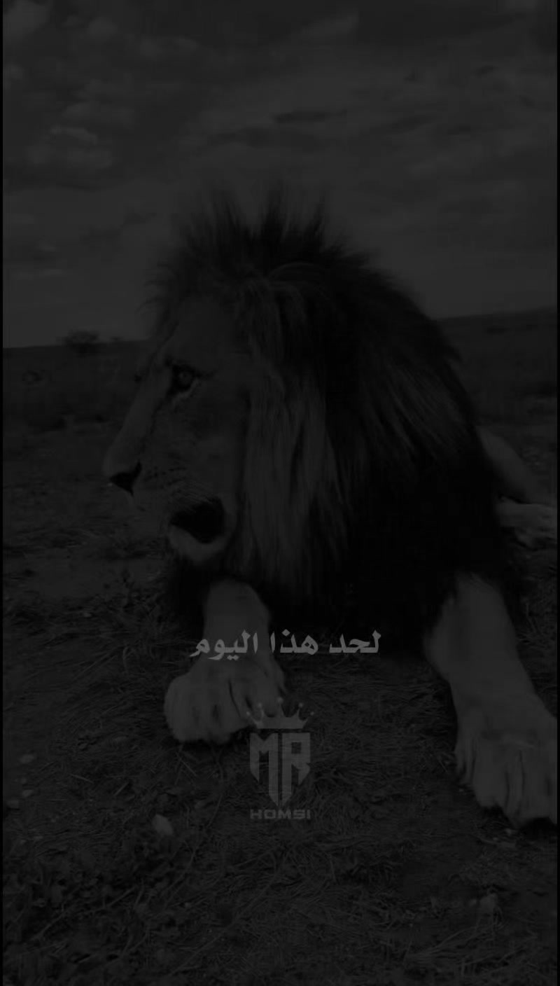 @« ๐๐ - ๐๐๐๐๐ »