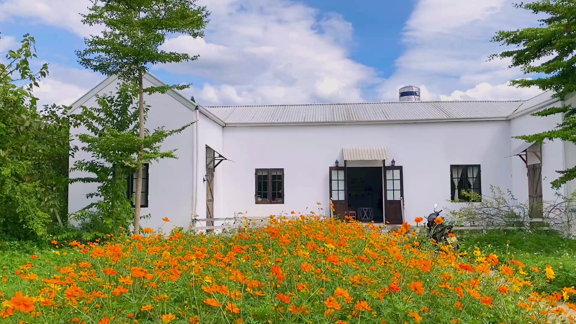 @Dream Farmhouse Mộc Châu