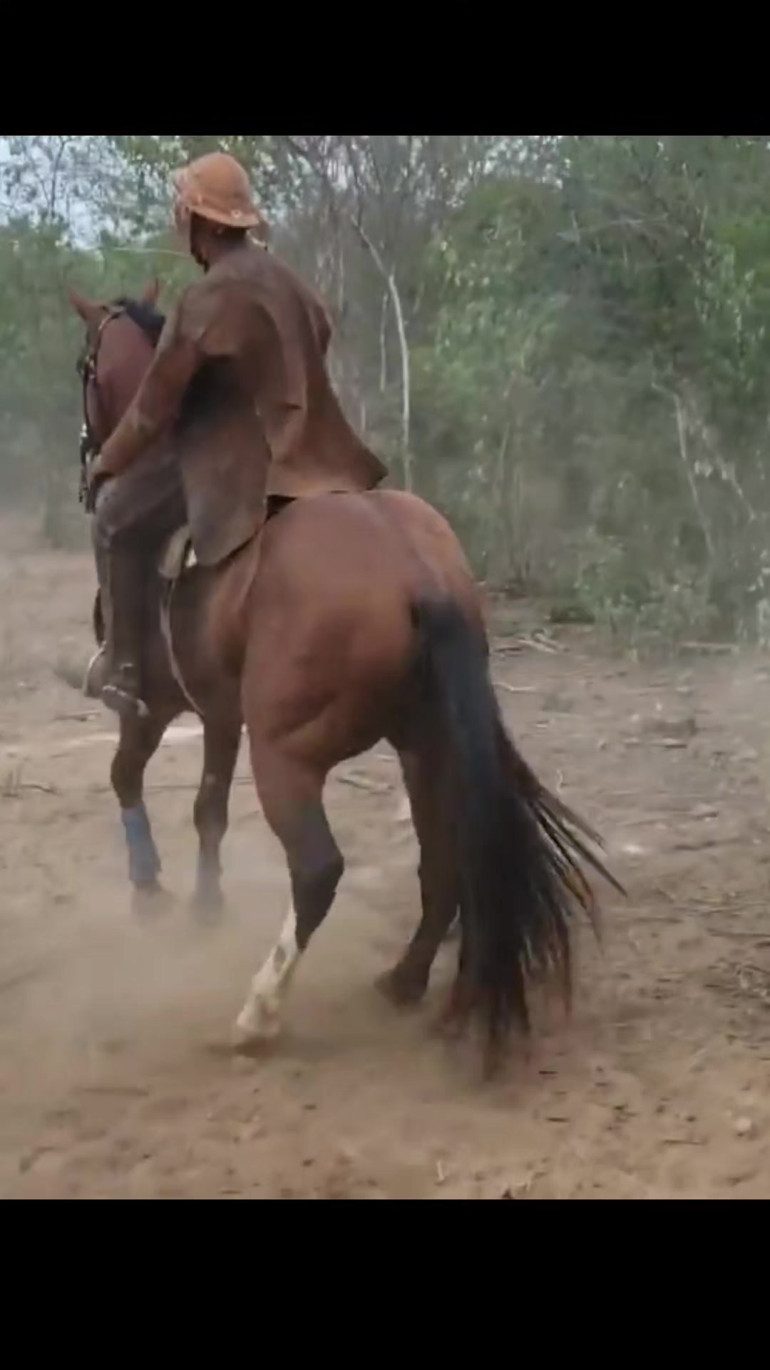 @equipe de pega de boi status
