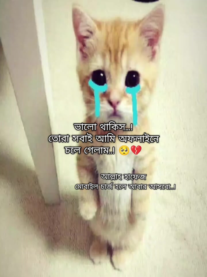 @⏤♡Ƒ&alpha;&eta;в&sigma;у_Ѕ&alpha;zz&alpha;&part;_⁉️💢