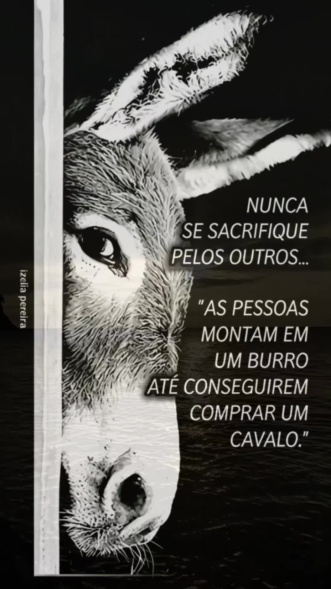 @Gaivota