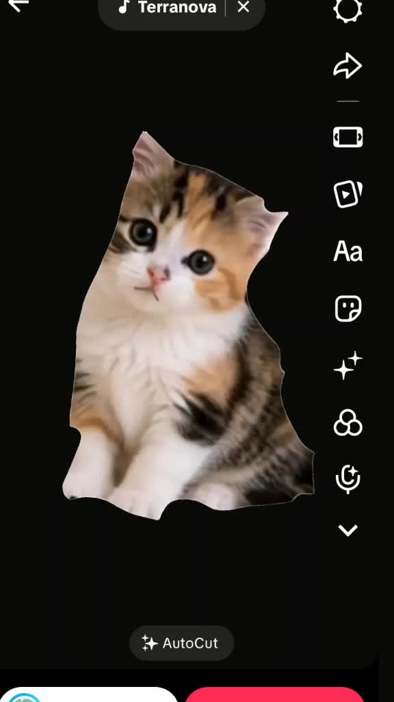 @....