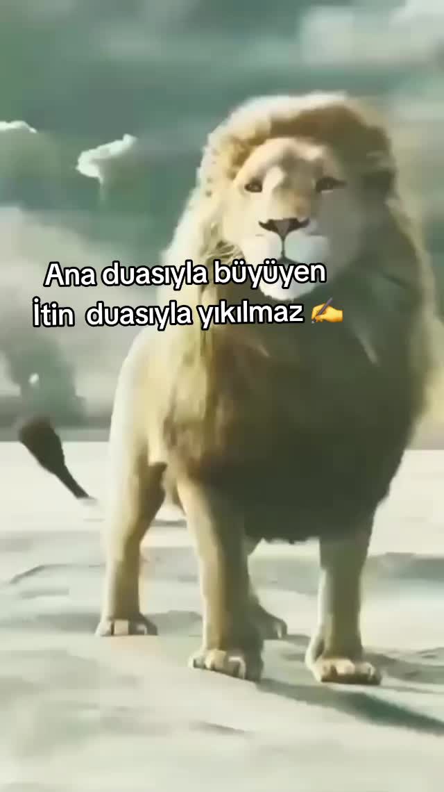 @๐๐๐๐๐ ๐๐๐๐ ๐๐๐๐น๐ท
