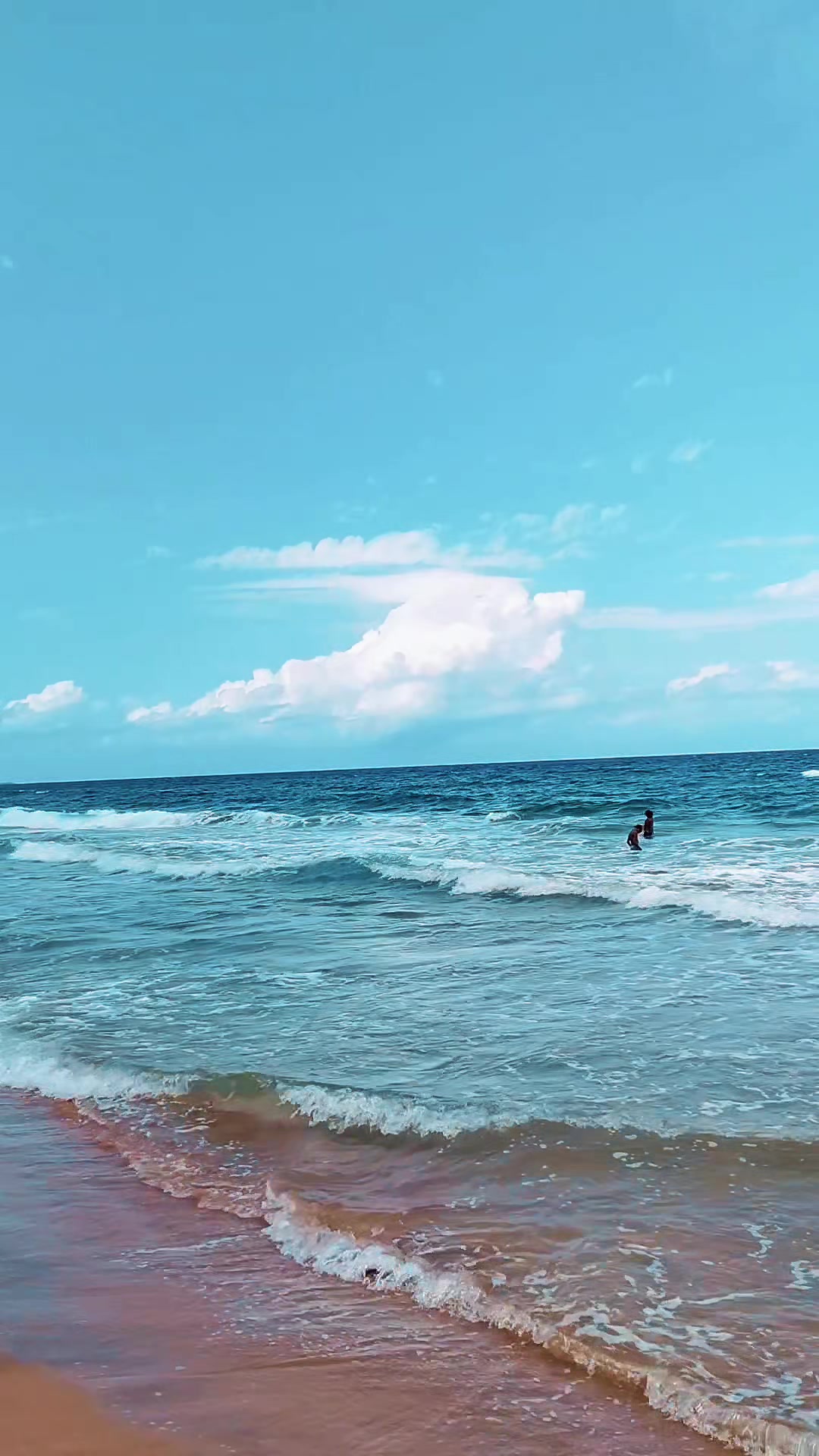 @🛟Trouville vidéo ⚓