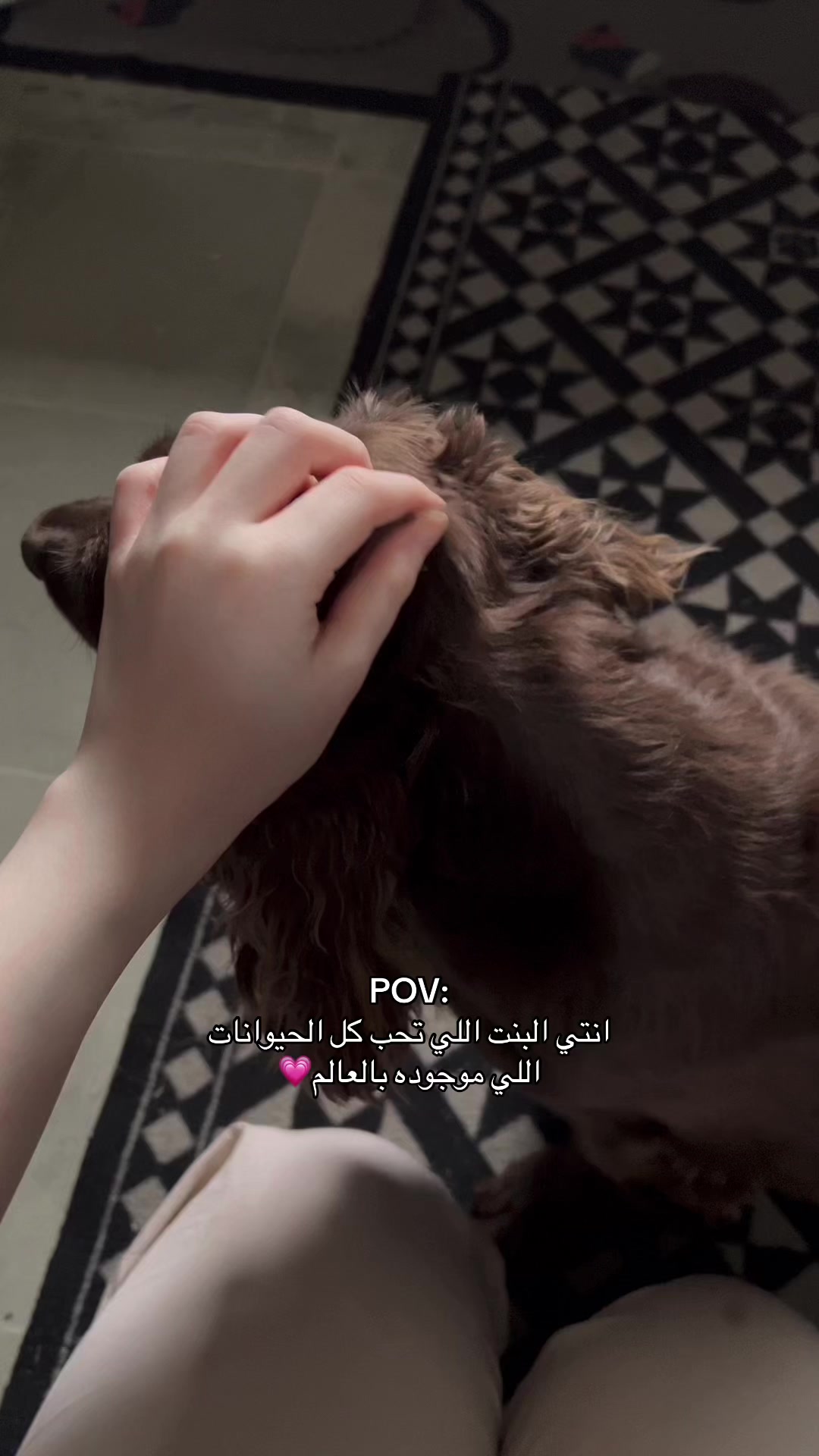 @Machael Alharbi 🧸ྀི