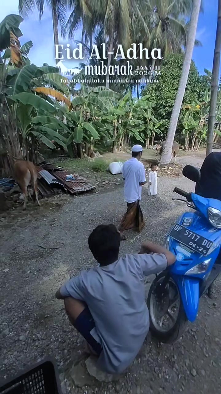 @Afdhal kalomang speed