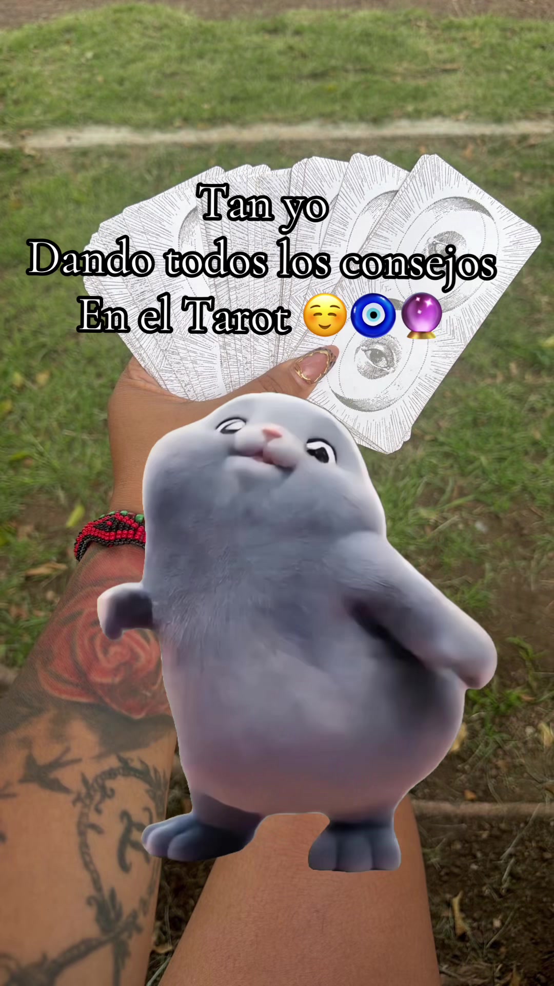 @sandyeleguacita