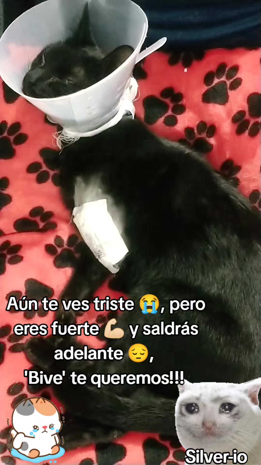 @La Dory y sus amigos