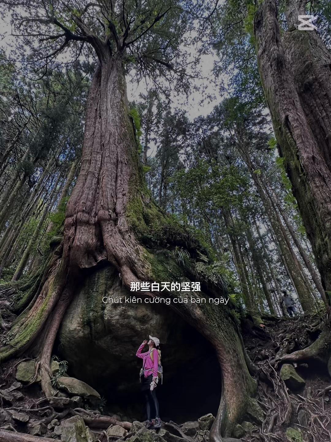 @施施