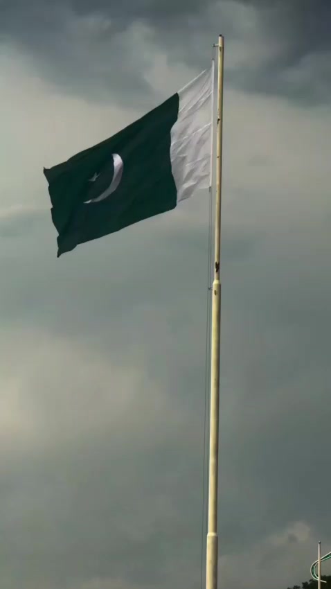 @hamzakayani