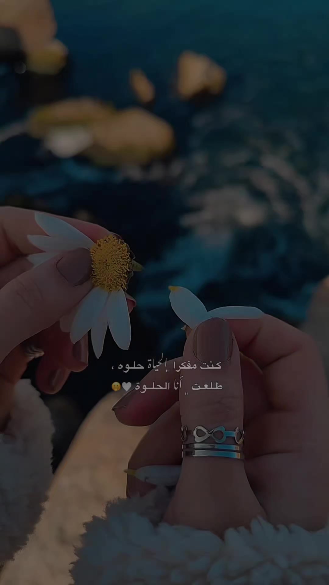 @ايلول | 𝐀𝐲𝐥𝐨𝐥 ♡