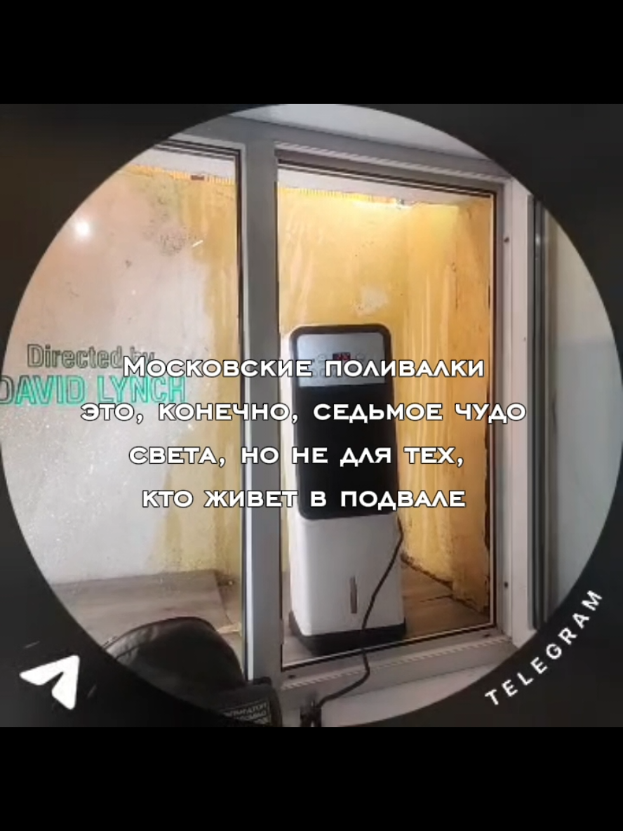 @Муравьёв-Опёздол